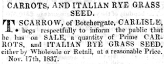 Thomas Scarrow, Potatoes and Rye Grass for Sale, Carlisle